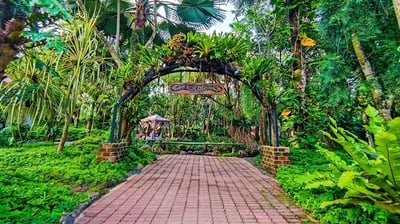 Davao: What comes to mind?