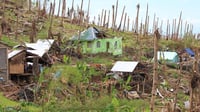 Agri damage from storms now at P4.38B