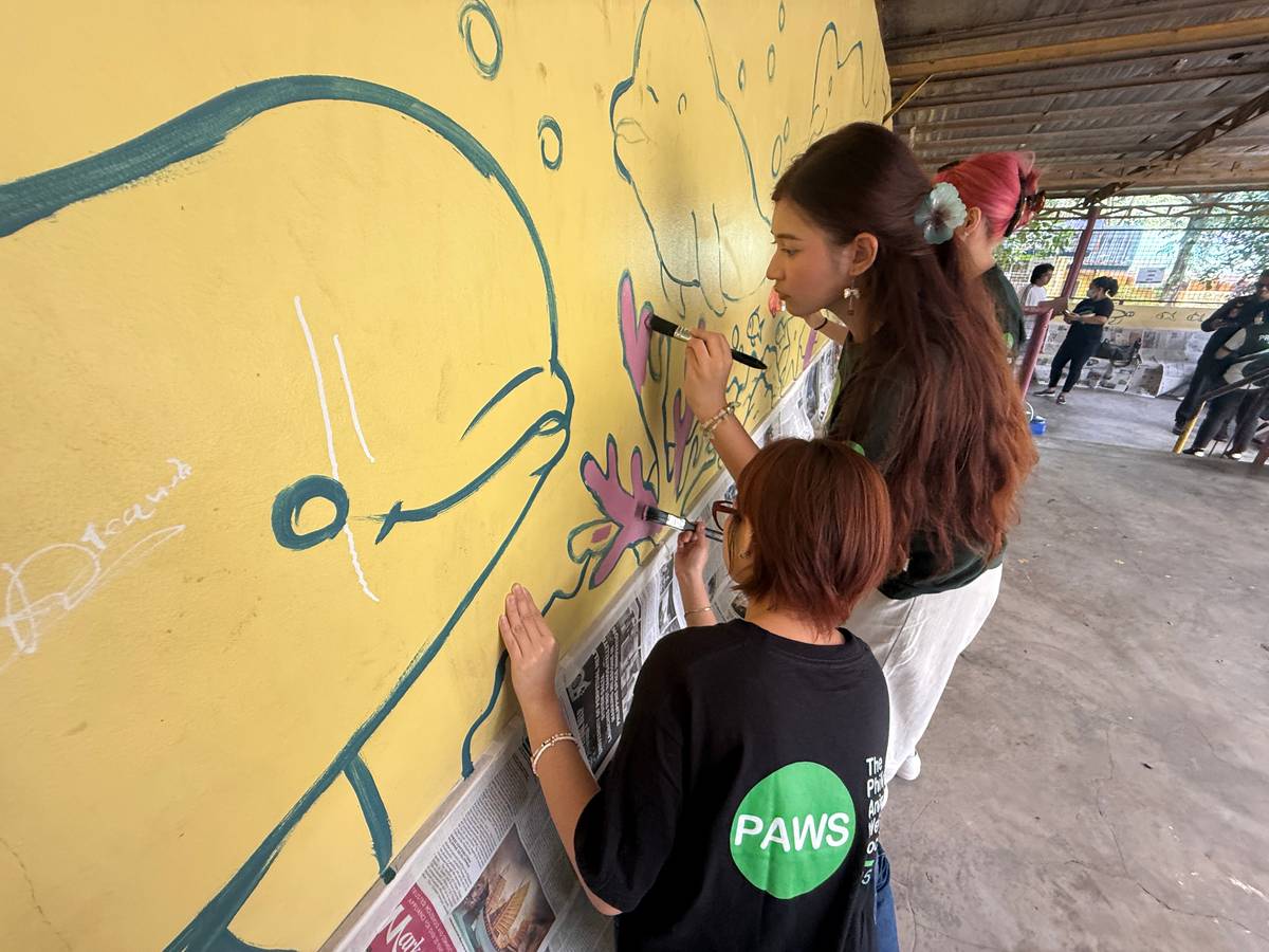 TIME for painting: PAWS volunteers painting dolphin mural