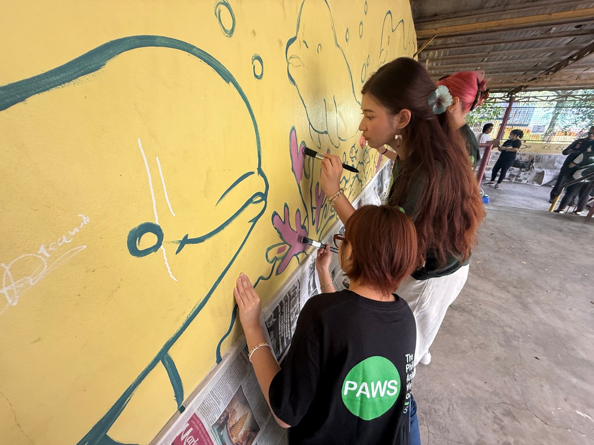 TIME for painting: PAWS volunteers painting dolphin mural