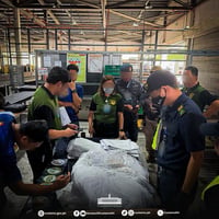 P10.696M drugs uncovered inside wedding dress box in Clark