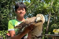 Xian Mykee Laure Mejares holding the juvenile Philippine Serpent Eagle after crows attacked the animal near their home in Malapatan, Sarangani on 7 September 2026.