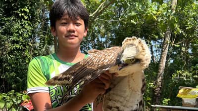 Xian Mykee Laure Mejares holding the juvenile Philippine Serpent Eagle after crows attacked the animal near their home in Malapatan, Sarangani on 7 September 2026.