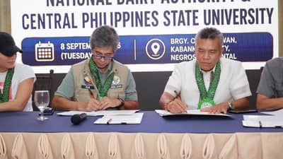 NDA, CPSU to build 50-hectare dairy farm