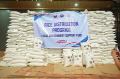 2,000 La Union families affected by storms receive rice, cash aid