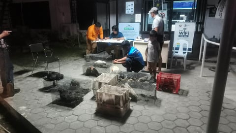 DENR cracks down on 55 wildlife traders, seizes over 300 fauna from January to August 2026 
