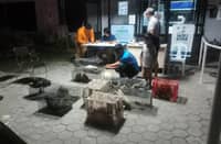 DENR personnel in General Santos City prepare case filings against two individuals arrested in April 2026 for illegally transporting protected wildlife, including cockatoos, gibbons, a bearcat and a Western crowned pigeon. The suspects, according to DENR, were intercepted in a minivan following a tip from concerned citizens.
