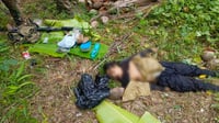 Army says NPA leader killed in Baybay clash