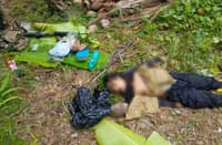 Army says NPA leader killed in Baybay clash