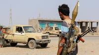 Houthis report over 30 Saudi strikes
