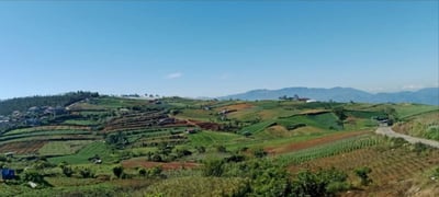 Farmers’ network: Support us instead of demonizing us
