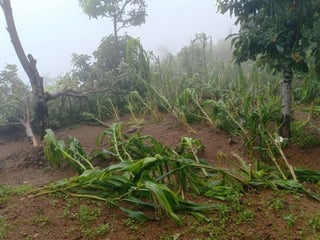 Government urged to improve hazard warnings for Cordillera farmers