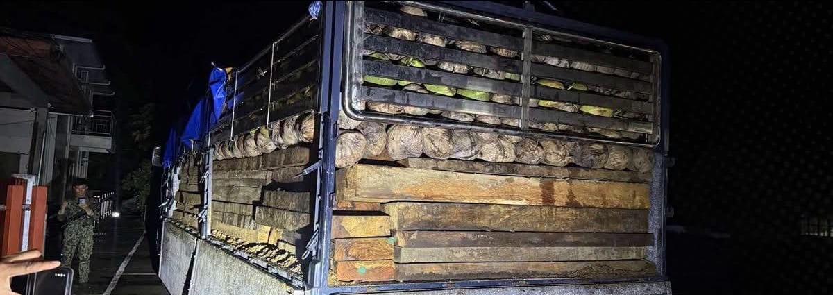 P2M undocumented Narra lumber seized in Nueva Vizcaya