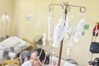 Cardinal urges faster leptospirosis aid