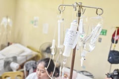 Cardinal urges faster leptospirosis aid