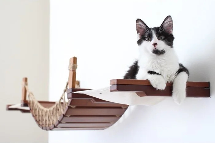 VERTICAL spaces such as cat trees give indoor cats opportunities to climb, explore and stay stimulated.