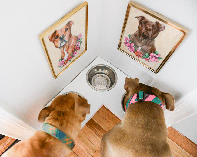 DEDICATED corner gives pets their own space without taking up too much room in a compact condo unit.