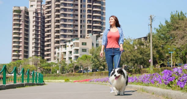 Can pets really thrive in a condo? 
Here’s how to make it work