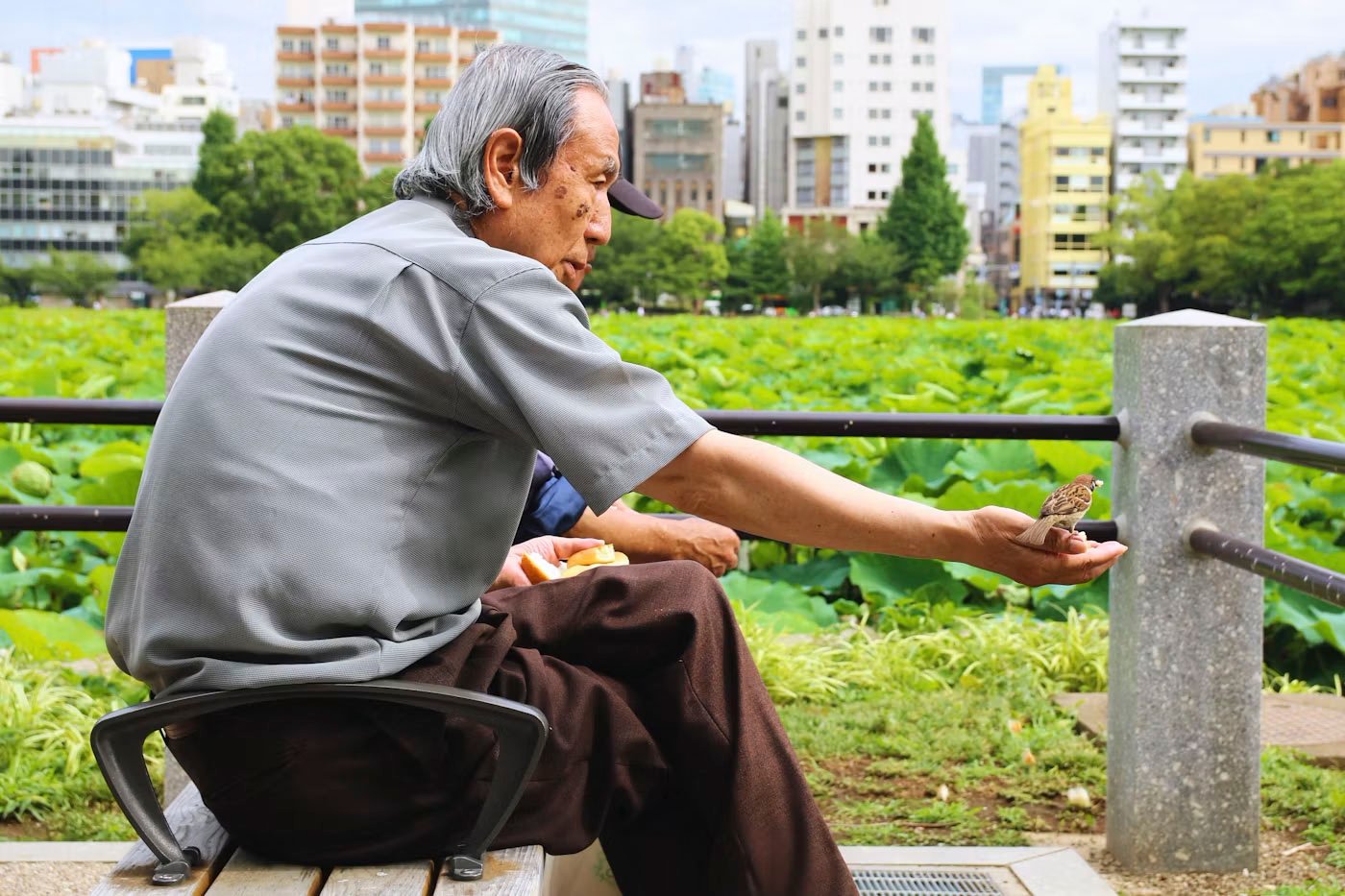 WE’RE NEXT, SAYS JAPAN
