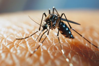 Cebu logs 3,268 dengue cases