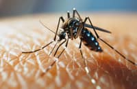 Cebu logs 3,268 dengue cases