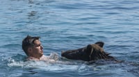 Swimming pigs turn Greek island to tourist hotspot