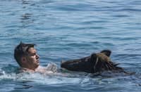 Swimming pigs turn Greek island to tourist hotspot