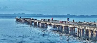 PPA pushes P670-M port expansion