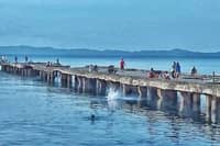 PPA pushes P670-M port expansion