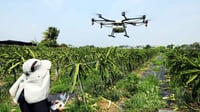 Taiwan expo Showcase smart farming technology