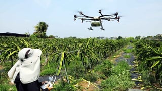 Taiwan expo Showcase smart farming technology