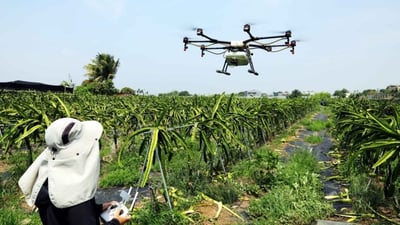 Taiwan expo Showcase smart farming technology