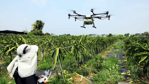 Taiwan expo Showcase smart farming technology