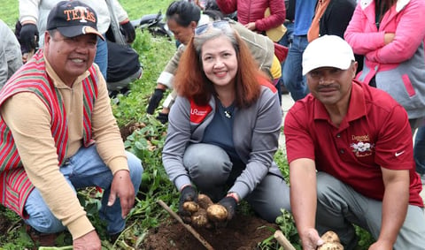 URC program lifts Benguet potato farmers

