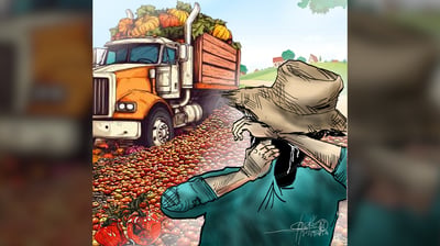 Rotting crops, paved promises