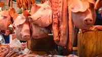 Hog output surges
