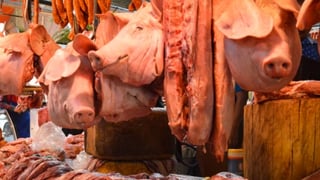 Hog output surges