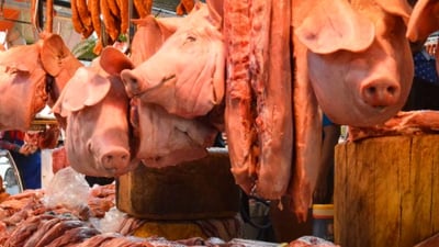 Hog output surges