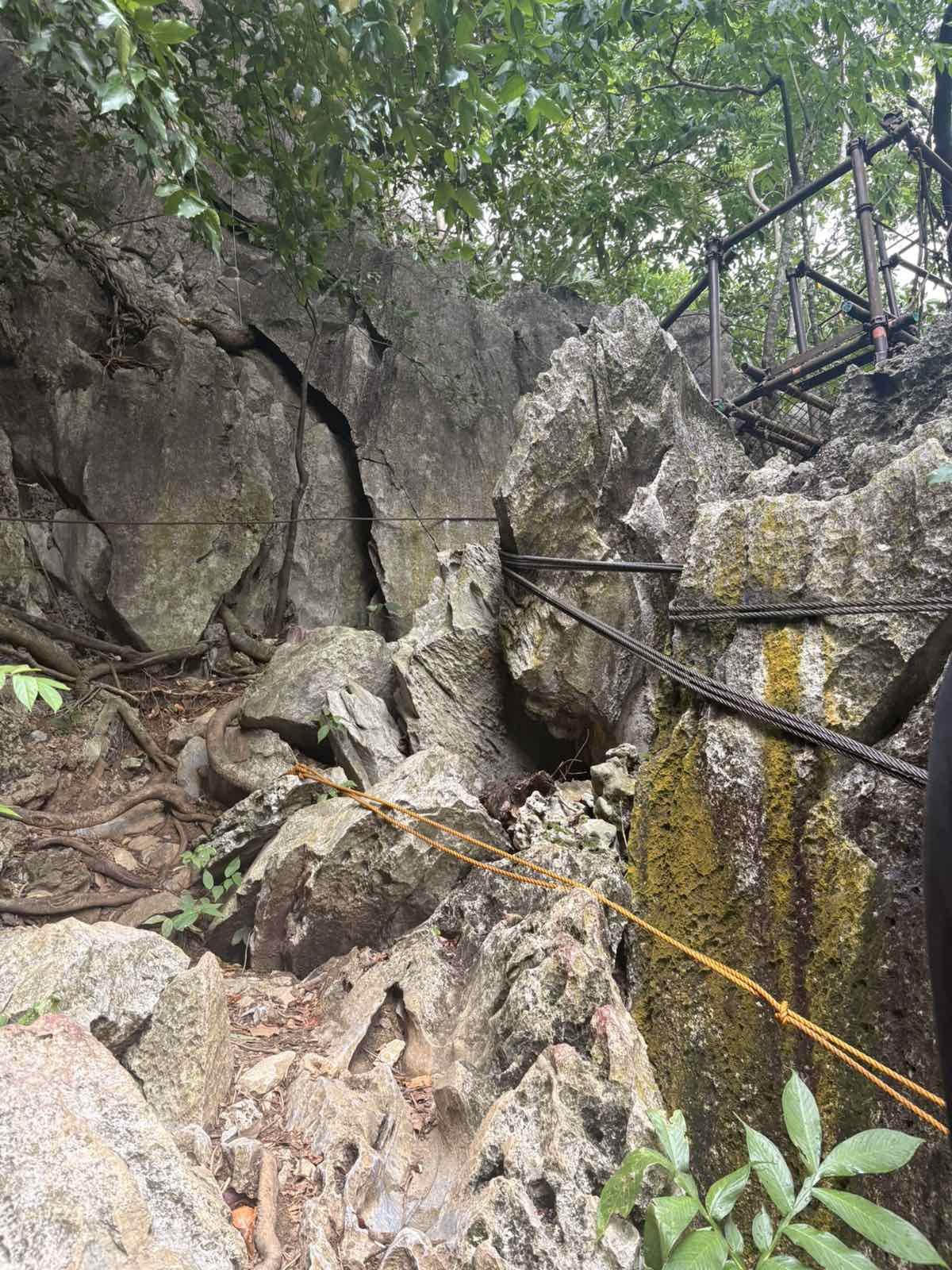 A trail leading to the canopy walk, one of the attractions in El Nido, Palawan.