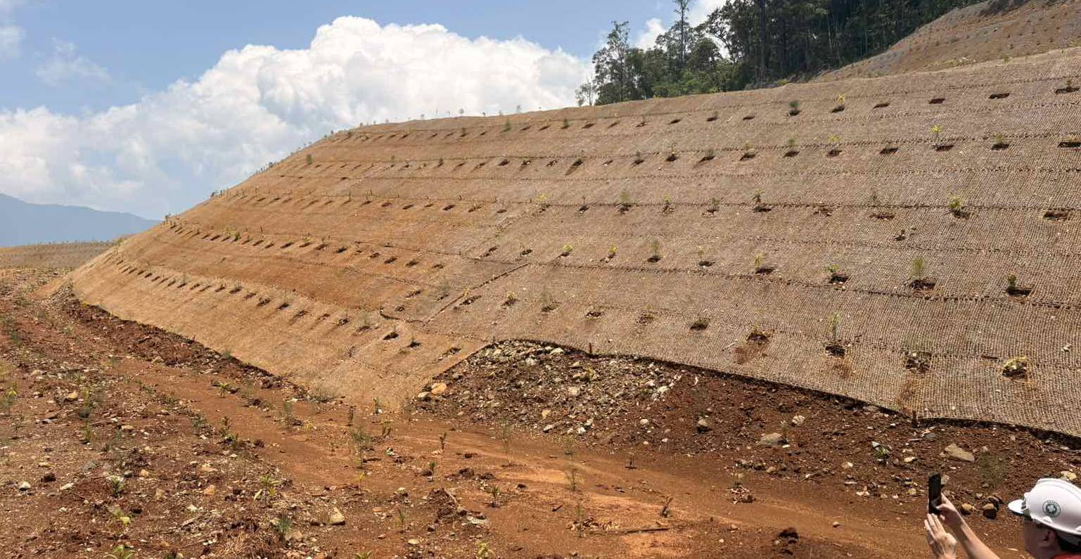 A fully rehabilitated portion of the former mining site covered with coco coir to help stabilize the soil and support vegetation growth.