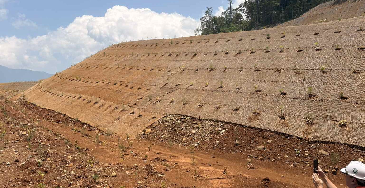 A fully rehabilitated portion of the former mining site covered with coco coir to help stabilize the soil and support vegetation growth.