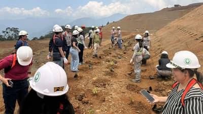 The Reciprocity of the Ground