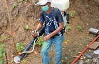 THE Albay Provincial Health Office-Environmental Sanitation Team conducted a misting activity at Pio Duran Memorial District Hospital as part of ongoing efforts to prevent and control mosquito-borne diseases.
