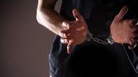 Suspect nabbed after pointing gun at 2