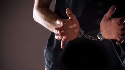 Suspect nabbed after pointing gun at 2