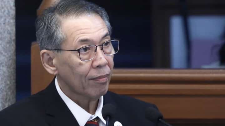 Akbayan Partylist Rep. Chel Diokno
