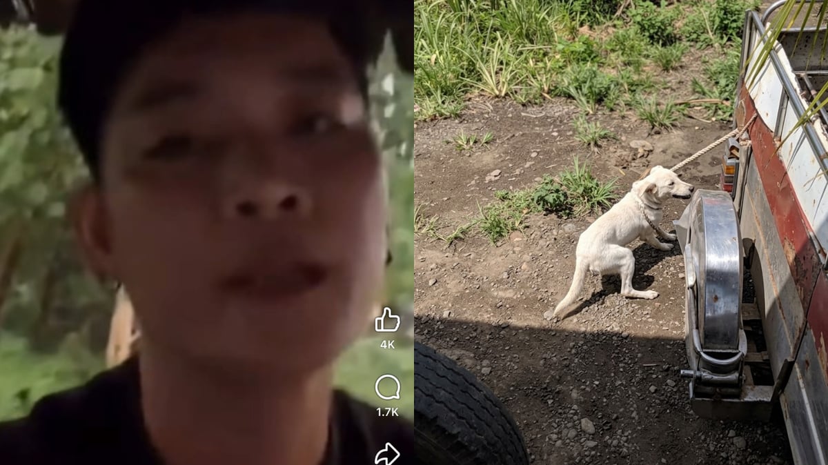 Content creator Hart Yu has gone viral for all the wrong reasons, facing backlash for lack of empathy toward animals.