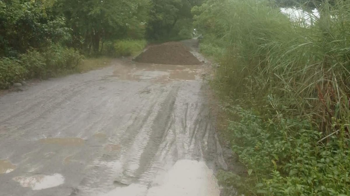 Tarlac farm roads get P71.5-M boost