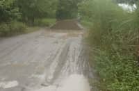 Tarlac farm roads get P71.5-M boost
