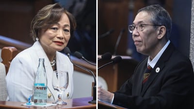 Defense eyes impeach witness link to Akbayan